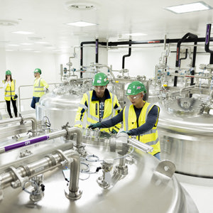 Genesis plant Ulm