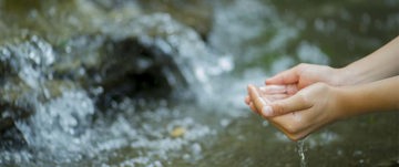 Water from the source