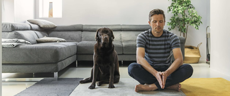 meditation with dog